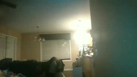 log online show from 01.12.25