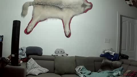 Lola Lixx online show from 10.09.25