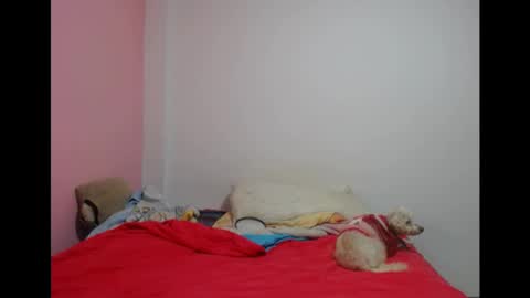 Snapshot of lolitabitchhorney_ chatting on 05.19.26 Lolita online show from 05.19.26