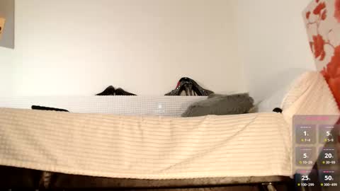 Miss Lolla online show from 10.27.25