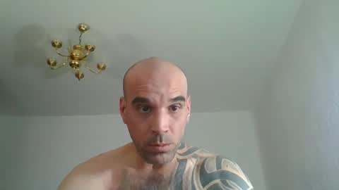 Snapshot of lolotatto chatting on 04.03.26 lolotatto online show from 04.03.26