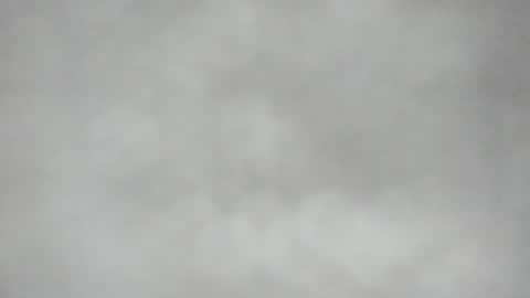 L O L Y -- E B O N Y online show from 04.17.26