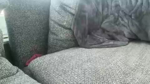 Snapshot of longjohnson94435702 chatting on 03.02.25 longjohnson94435702 online show from 03.02.25