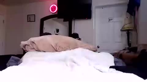 lookatmecum4you online show from 10.17.25