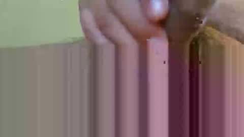 2791 3D online show from 02.12.26