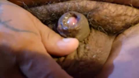 2791 3D online show from 03.19.26