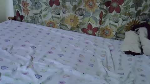 Snapshot of lora_amor chatting on 04.30.26 lora_amor online show from 04.30.26