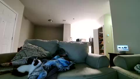 Snapshot of losrompecamera chatting on 11.17.25 LosRompeCamera online show from 11.17.25