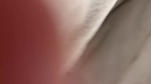 lost_surprise online show from 04.14.26