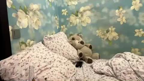 Snapshot of louismapes chatting on 07.18.26 Sasha online show from 07.18.26