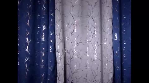 Riva online show from 11.30.25