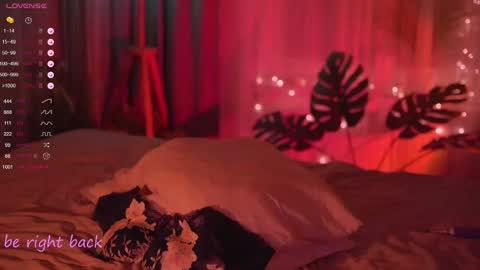 Nelly online show from 02.20.25