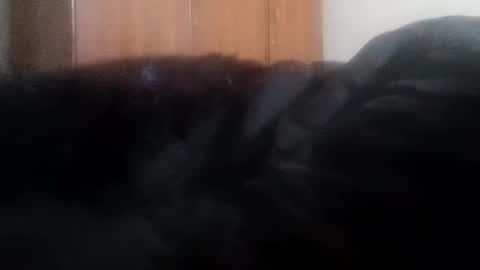 Snapshot of lovely_sweet_girl chatting on 01.01.25 katrina follow me guys online show from 01.01.25