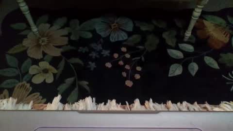 Snapshot of lovetubes101 chatting on 10.29.25 lovetubes101 online show from 10.29.25