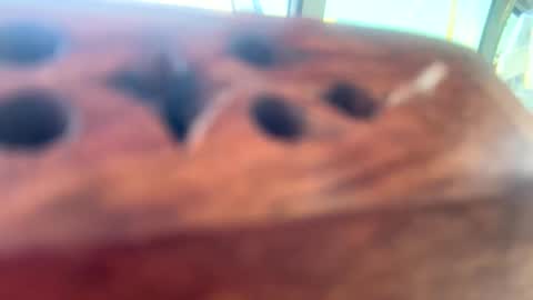 StacyMaeWish online show from 03.12.25