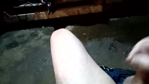 lowtidehightide online show from 01.11.26