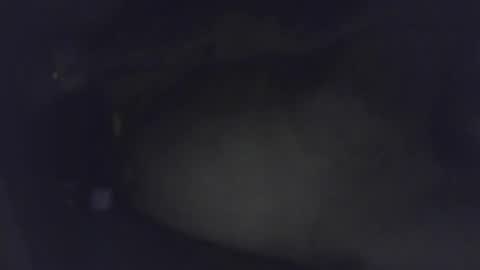 luca150500 online show from 01.30.25