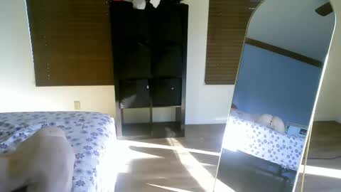 Snapshot of luchamuscles chatting on 12.05.24 luchamuscles online show from 12.05.24