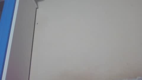 Snapshot of luciiaana chatting on 12.31.24 luciana gr online show from 12.31.24