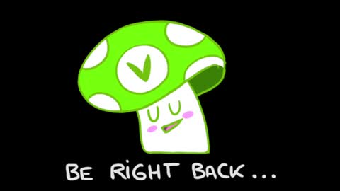 Noor online show from 01.22.25