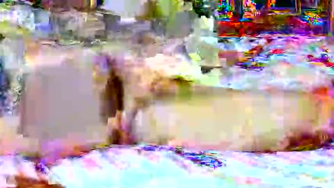 lucky134u online show from 04.20.26