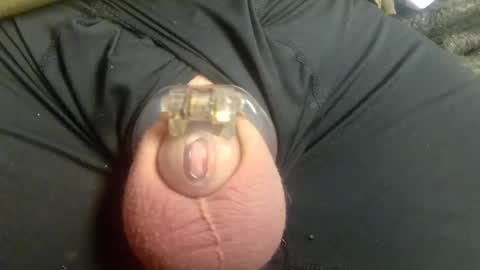 Snapshot of lucky_cuck chatting on 01.02.25 Lucky Cuck online show from 01.02.25