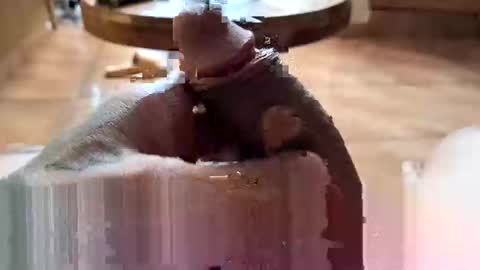 lucky_og24 online show from 12.27.24