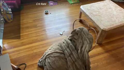 lucydreamsbaby online show from 02.12.25