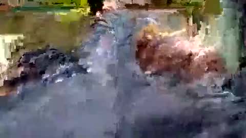 Andrew online show from 10.22.25