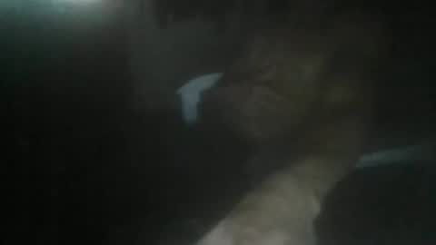 luizs23 online show from 11.05.25