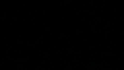 Skaluk online show from 04.12.26