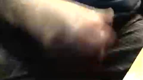 Snapshot of lukestarfckr chatting on 11.23.25 lukestarfckr online show from 11.23.25