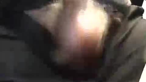Snapshot of lukestarfckr chatting on 05.29.26 lukestarfckr online show from 05.29.26
