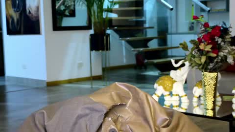 Lukhas f4f online show from 01.20.25