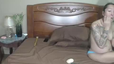 lulu_wild online show from 04.05.26