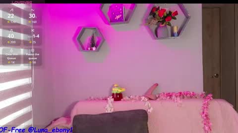 Snapshot of luna_ebony1 chatting on 04.29.26 Couple X online show from 04.29.26