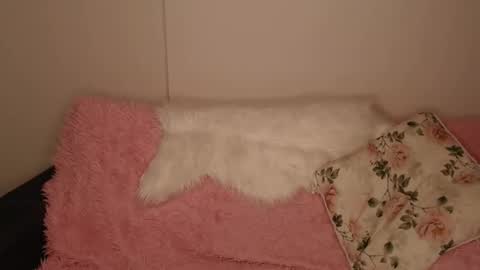 Luna online show from 12.20.25