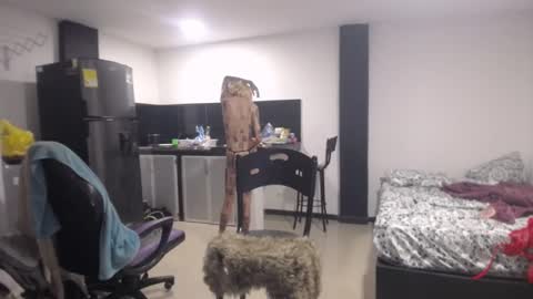 Snapshot of luna_rosita chatting on 03.07.25 Luna online show from 03.07.25