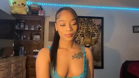 Snapshot of lunaa_11 chatting on 12.29.24 lunaa_11 online show from 12.29.24