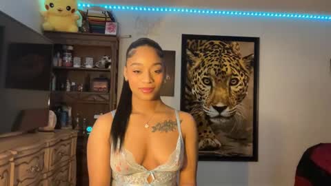 Snapshot of lunaa_11 chatting on 01.04.25 lunaa_11 online show from 01.04.25