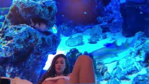 LunaBex online show from 02.18.26