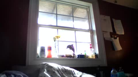 lunasecretadmirer online show from 02.14.26