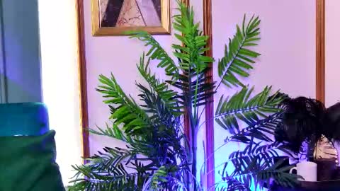 Luna online show from 02.20.26