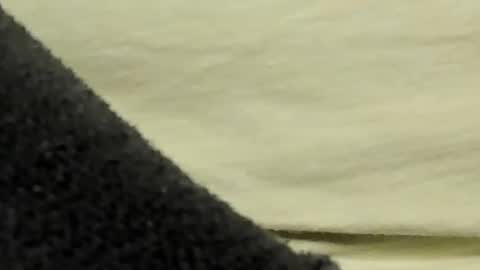 lustgardener67 online show from 01.27.25