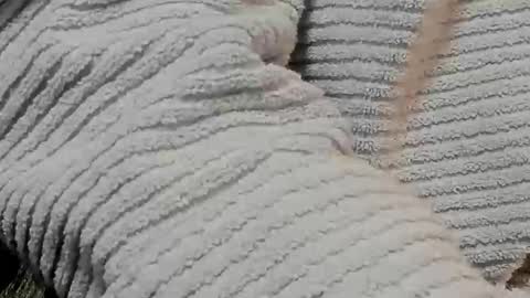 lustgardener67 online show from 02.09.25