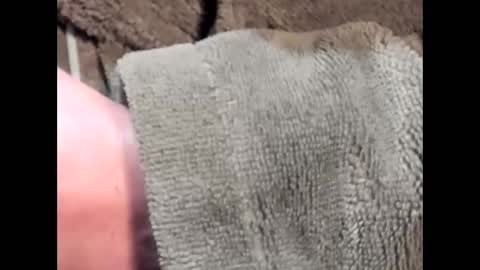 lustgardener67 online show from 03.04.25