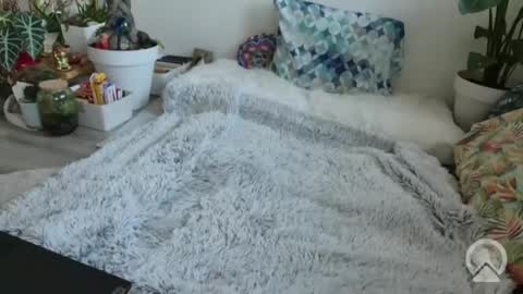 Snapshot of lustlnbalancevh chatting on 01.19.26 lustlnbalancevh online show from 01.19.26