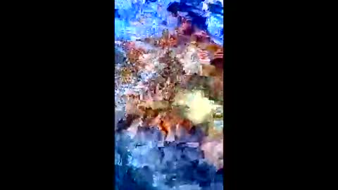 Peter Jacksone online show from 01.10.26