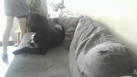 luzardol online show from 03.05.25