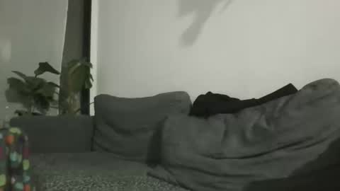 luzardol online show from 11.13.25